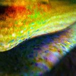 73